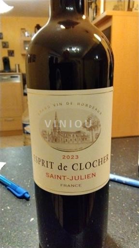 Bordeaux Saint-Julien Esprit de Clocher 2023