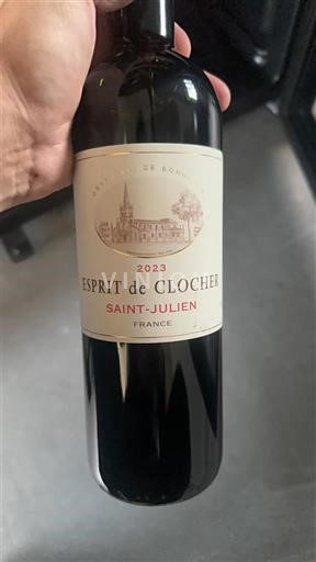 Bordeaux Saint-Julien Esprit de Clocher 2023