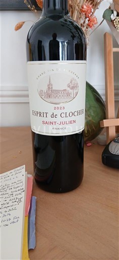 Bordeaux Saint-Julien Esprit de Clocher 2023