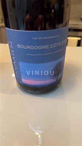 Bourgondië Bourgogne Côte d'Or Skyaasen 2023