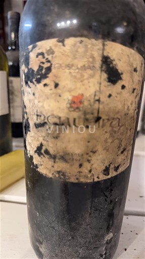 Wines of Sicily Alcamo Cusumano Benuara 2002