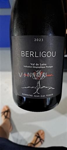 Dolina Loare Domaine Jean-Luc Viaud Berligou 2023
