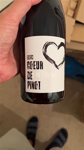 Vin Rouge sec Coeur de PINGT 2020 France Alsace AOC