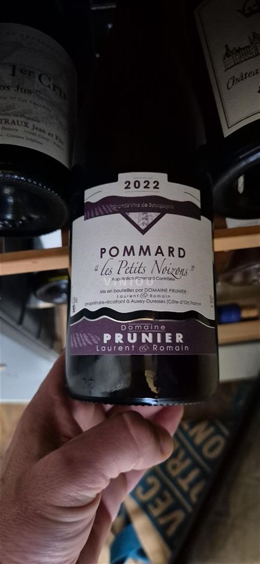 Bourgondië Pommard Prunier les Petits Noizons 2022