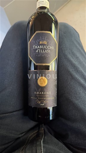 Veneto Amarone della Valpolicella Trabucchi Illasi 2006