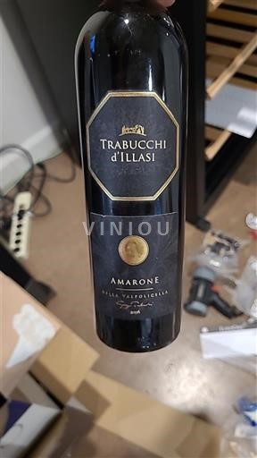 Benecija Amarone della Valpolicella Trabucchi Illasi 2006