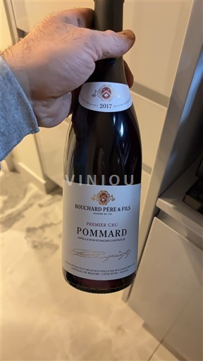 Bourgogne Pommard Premier Cru Bouchard Père & Fils 2017