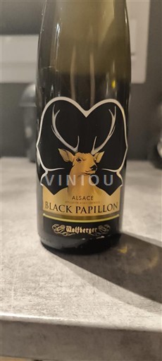 Alsace Wolfberger Black Papillon 2019