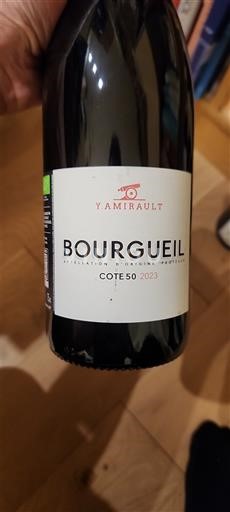 Loiredalen Bourgueil Y. Amirault Cote 50 2023