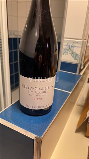 Borgogna Gevrey-Chambertin Jean-Luc Burguet Mes Favorites Vieilles Vignes 2022