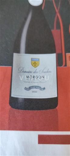 Beaujolais Morgon Domaine Des Souchons Cloche Perse 2022
