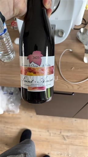 Beaujolais Saint-Amour Domaine Des Champs de Thalie 2023