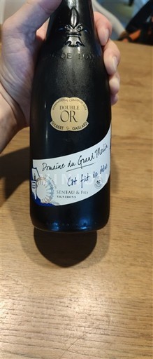 Loiretal Anjou Domaine Grand Moulin Côt fût de chêne 2019