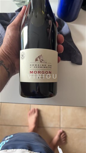 Beaujolais Morgon Domaine L'Herminette 2023