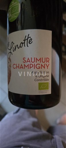 Loire Valley Saumur-Champigny La Linotte 2023