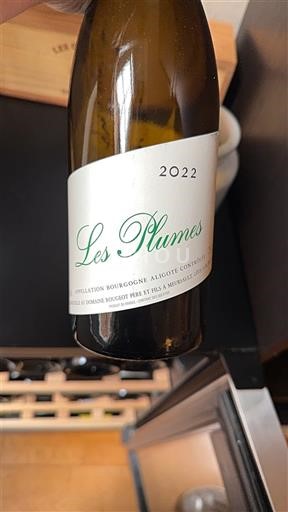 Borgogna Borgogna Aligoté Domaine Rougeot Les Plumes 2022