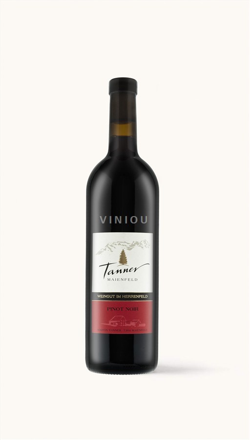 Grisones Bündner Herrschaft Martin Tanner Pinot Noir 2024