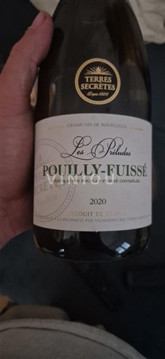 Bourgogne Pouilly-fuissé Terres Secrètes Les Préludes 2020