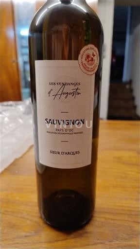 Languedoc in Roussillon Pays d'Oc Sieur Arques Les Vendanges d'Augustin Neleten.