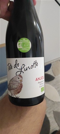 Loiretal Anjou Tête de Linotte Ohne Jahrgang