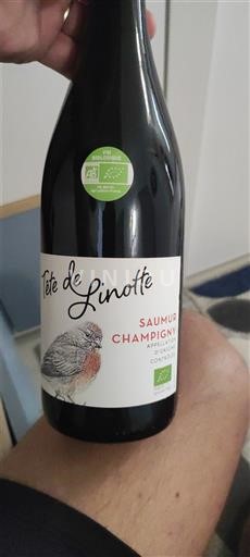 Loire Valley Saumur-Champigny Tête de Linotte Non-Vintage