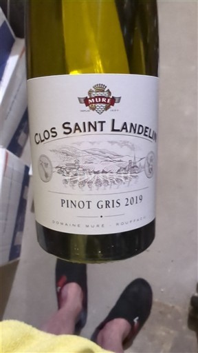 Vin Blanc sec Clos Saint Landelin Pinot Gris Mure 2019 France Alsace Alsace Grand Cru AOC Grand Cru