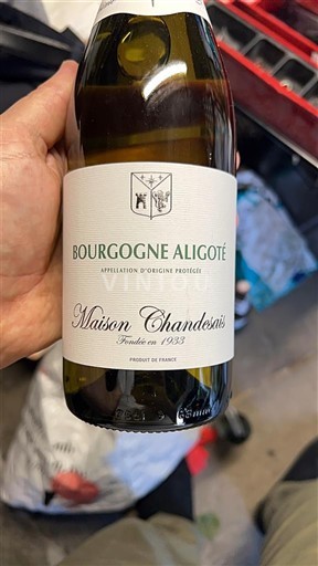 Bourgondië Bourgogne Aligoté Maison Chandesais 2024