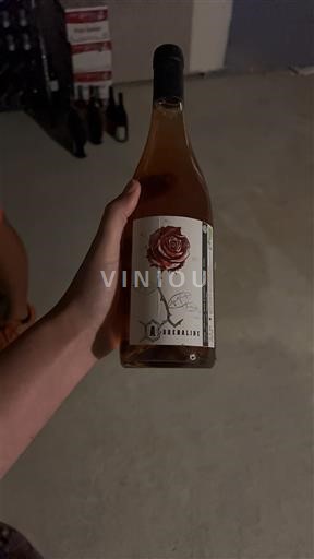 Südwestfrankreich Nicht spezifiziert Domaine L'Adréaline Ohne Jahrgang