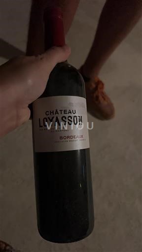 Vin Rouge sec Château Loyasson 2017 France Bordeaux AOC