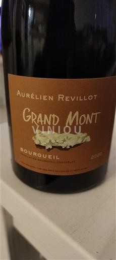 Valle della Loira Bourgueil Aurélien Revillot Grand Mont 2020