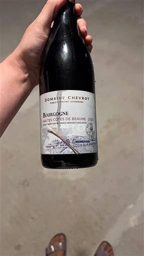 Burgundy Hautes-Côtes de Beaune Domaine Chevrot 2023