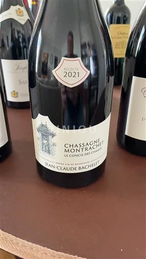 Bourgogne Chassagne-montrachet Jean-Claude Bachelet Le Concis des Champs 2021