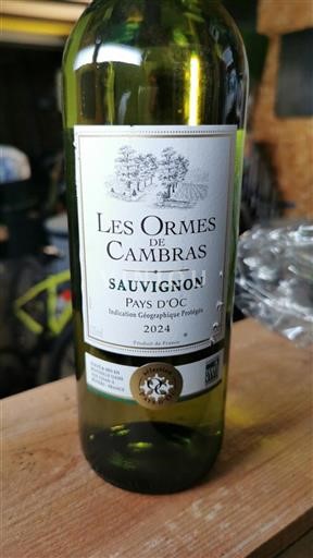 Languedoc-Roussillon Pays d'Oc Les Ormes de Cambras Sauvignon 2024
