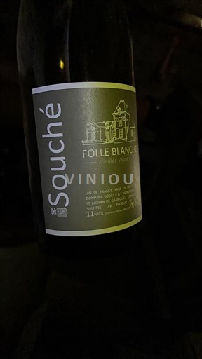 Valle della Loira Non specificato Château Souché Folle Blanche Senza annata