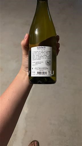 Languedoc-Roussillon Pays d'Oc Domaine L'Île Margon 2022