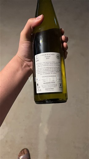 Jura Non specificato Domaine L'Octavin Terroir de Schiste 2019