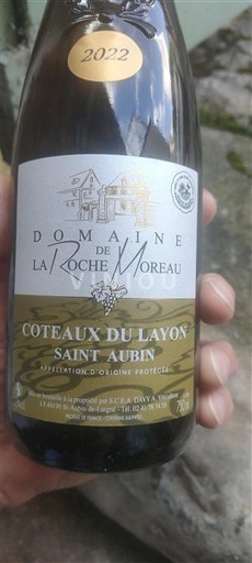 Vin Blanc moelleux Domaine La Roche Moreau 2022 France Vallée de la Loire Coteaux-du-layon AOC