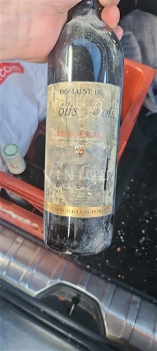 Sudoeste Bergerac Domaine Lolis-Bois Sin añada