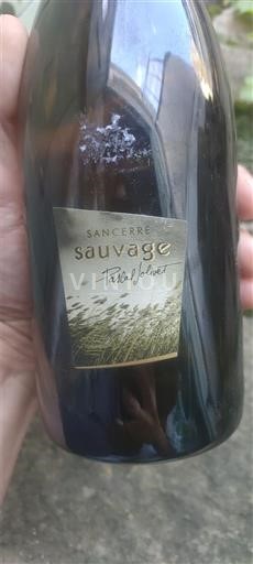 Loiretal Sancerre Pascal Jolivet Sauvage 2012