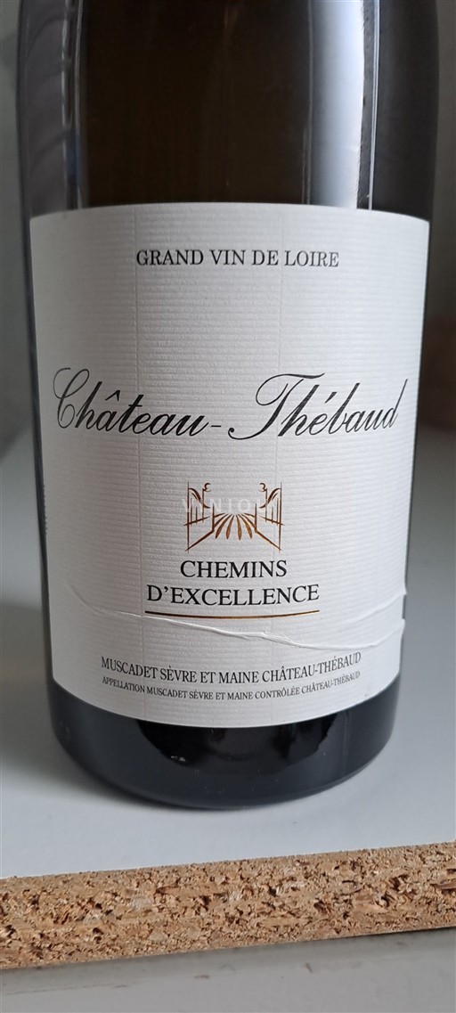 Vallée de la Loire Muscadet-sèvre-et-maine Château -Thébaud Chemins d'Excellence 2019