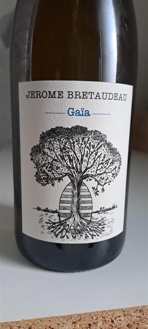 Vin Blanc sec Gaïa Jerome Bretaudeau 2022 France Vallée de la Loire Vin de France biodynamie