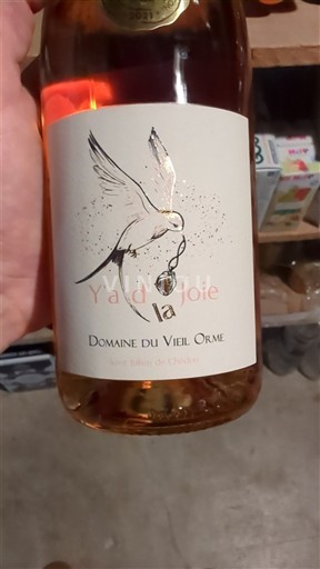Údolí Loiry Touraine Domaine Vieil Orme Ya d'la Joie 2020
