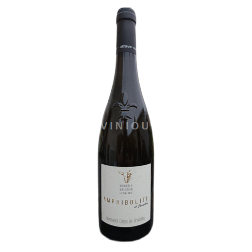 Loire Valley Muscadet-Côtes-de-Grand-Lieu Vignoble Malidain Amphibolite 2017