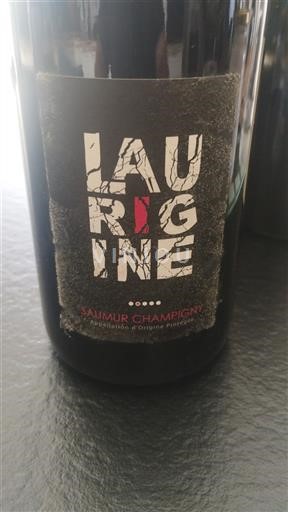 Loire Valley Saumur-Champigny L'Aurigine 2022