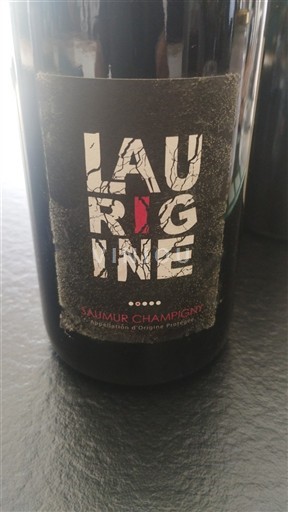 Loire Valley Saumur-Champigny L'Aurigine Non-Vintage