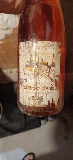 Loiretal Cabernet d’Anjou Domaine Des Trottières 2015