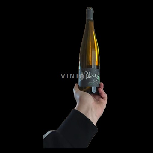Loiretal Nicht spezifiziert Domaine Brégeon Foll'Blanche 2023