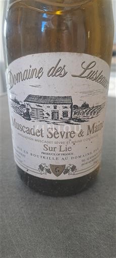 Thung lũng sông Loire Muscadet Sèvre et Maine Domaine Des Lusteaux Sur Lie 2013