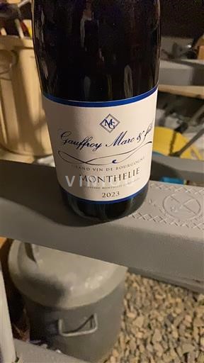 Burgundy Monthélie Gaufroy Marc et Fils 2023
