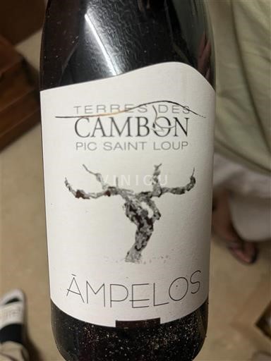 Languedoc Pic-Saint-Loup Terres des Cambon Ampelos Ohne Jahrgang